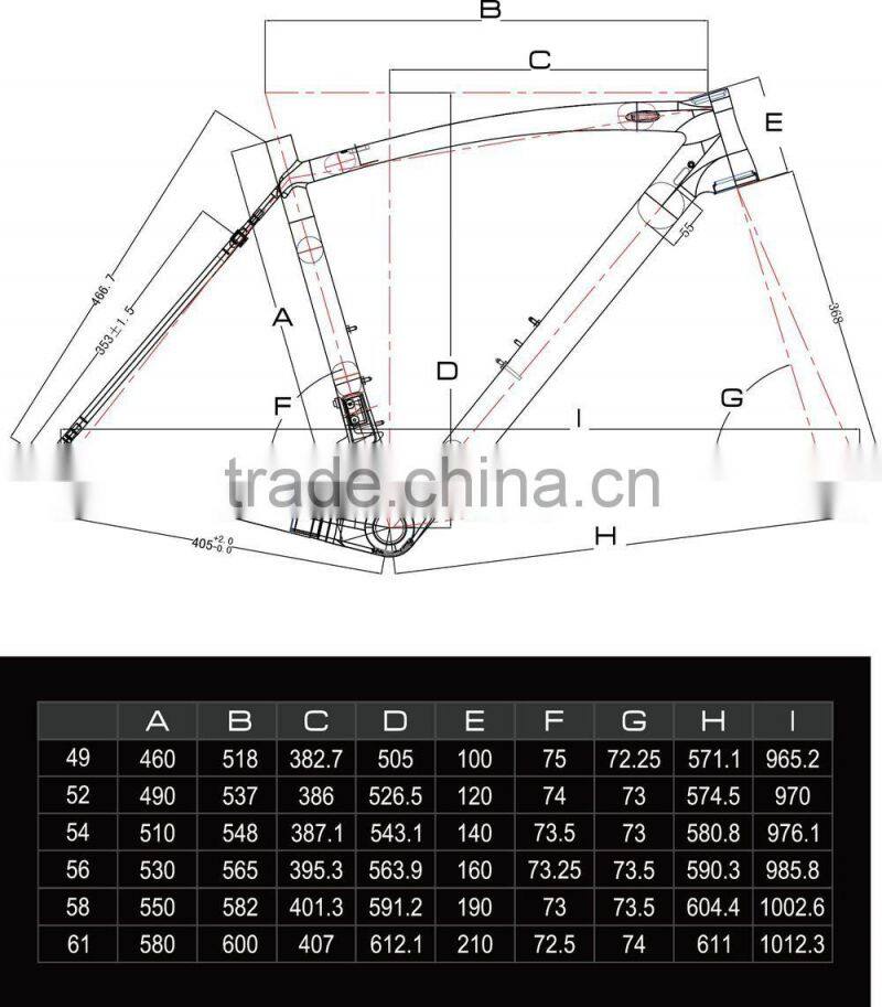 Dengfu FM208 super light frame bike with nice design