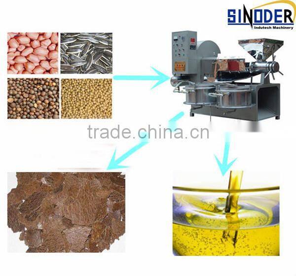 Supply Mini Olive Oil Press Machine/mini oil press machine/Vegetable Seeds Oil Press