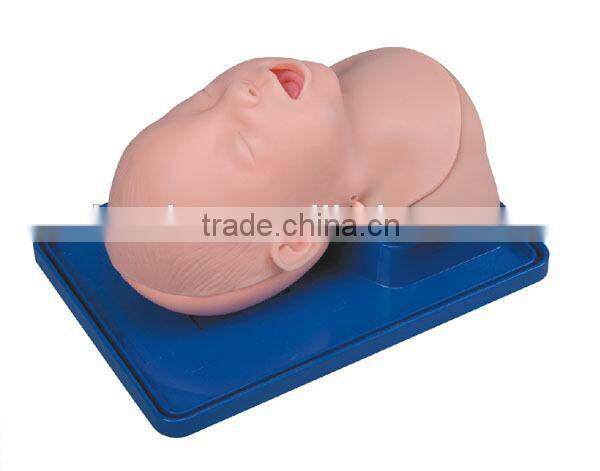 Infant Trachea Intubation Model