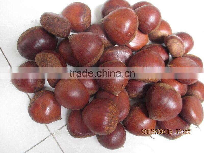 fresh chestnut,2015 chestnut,TianJin chestnut factory fresh
