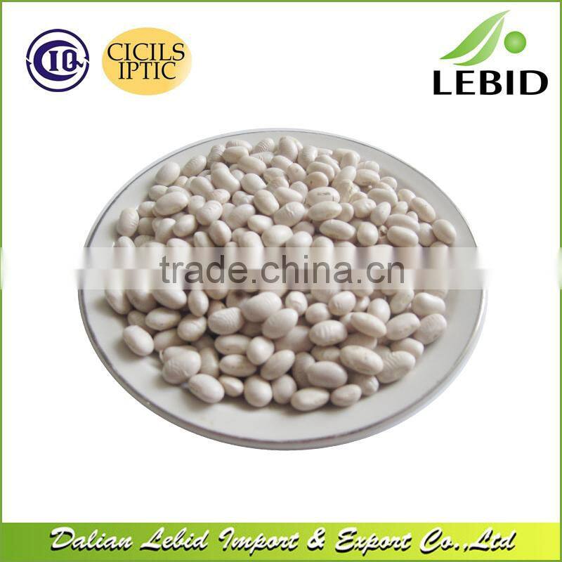 Chinese Wholesale White Kidney Beans In Stock