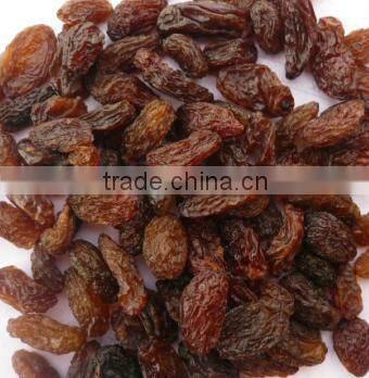 INDIAN DRIED INDUSTRIAL RAISIN