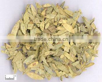 GMP Factory Supply Natural Senna Leaf Extract Sennosides