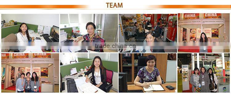 oem brand canned tin packing tomato fresh ketchup tomato paste sauce