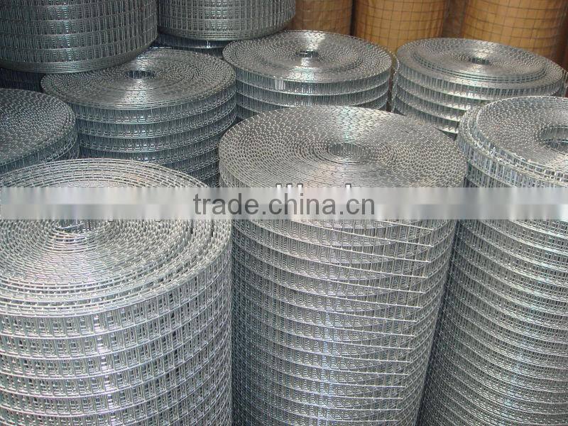 galvanized welded wire mesh/welded mesh/square wire mesh