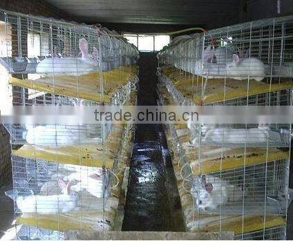 6 tires 400 automatic quails cage one side/6 tiers two sides 800 quails cages