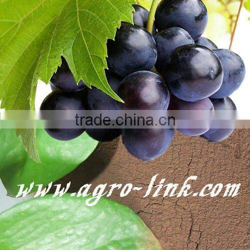 Natural Yellow Fulvic Acid fertilizer