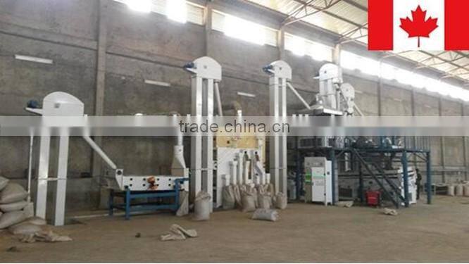Sesame Seed Cleaning Line, Paddy Maize Wheat Seed Processing Plant (hot sale in Ethiopia)