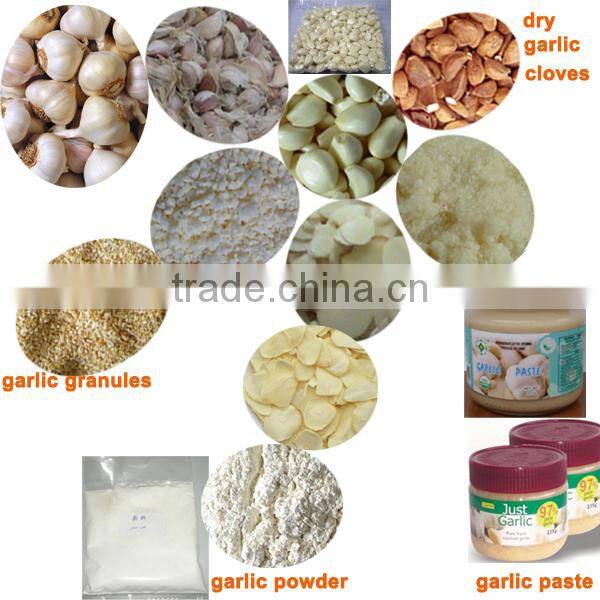 garlic splitting machine/garlic separating machine/garlic bulb separator