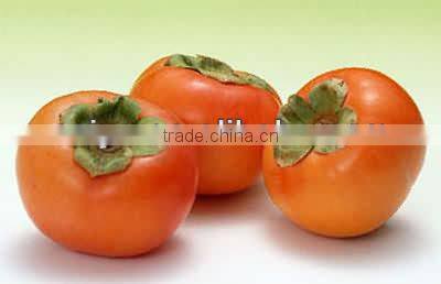 hot sale satinless steel guava peeling machine