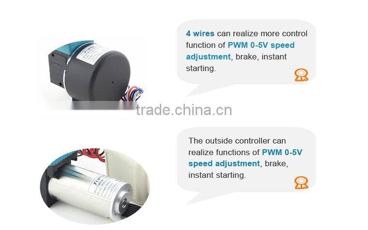 DC mini diaphragm double-sided printing system ink pump