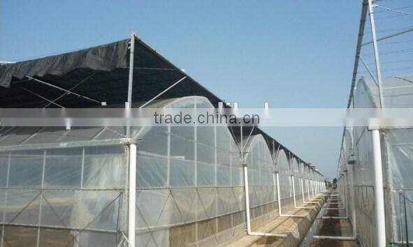 Agricultural cultivation plastic greenhouse flowers