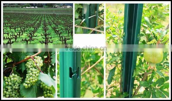 galvanized/pvc coated pipe-post/metal fence post