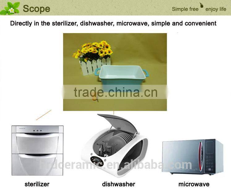 2014 daily use porcelain ceramic bakeware with two handle