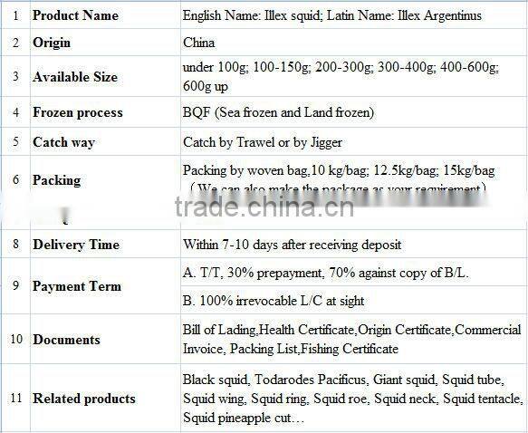 penang of illex squid