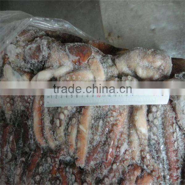 best sea frozen octopus vulgaris