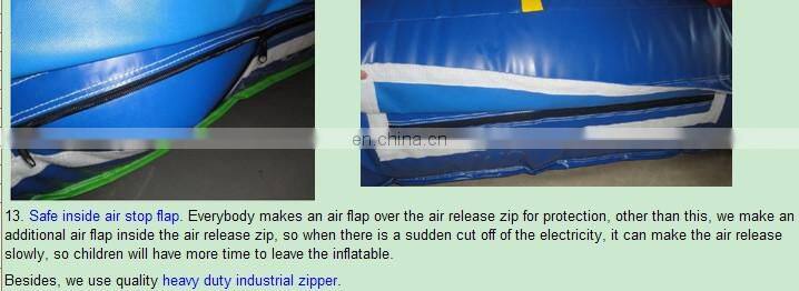 wet&dry shark inflatable combo