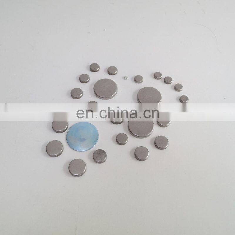 Diesel Engine Part C3004258 6CT Expansion Plug