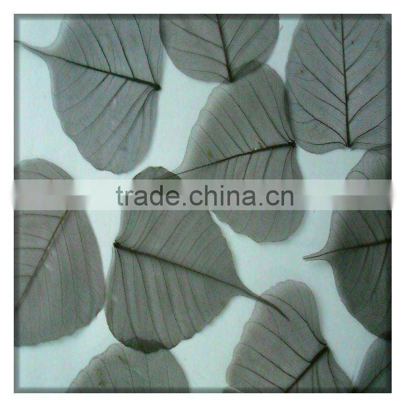 transparent polyester resin sheet partition
