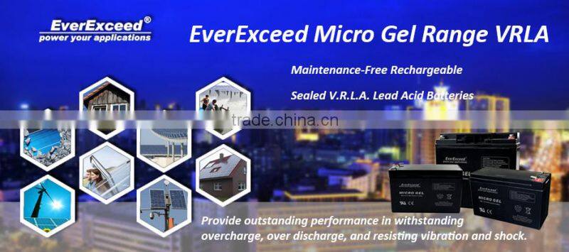 EverExceed small size GEL sealed lead acid battery