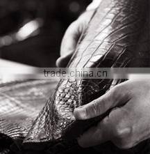 Fashion Women Purse / Women Leather Wallets / Beautiful Wallets