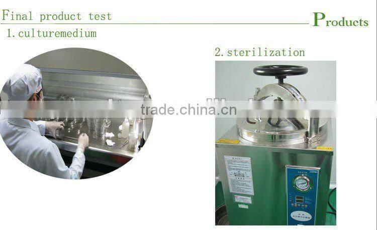 100g Olive Hair Styling Gel Wax