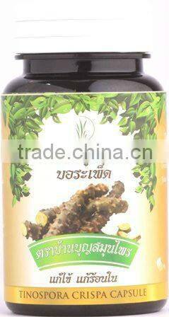 Natural Dried Alexandria Senna leaves