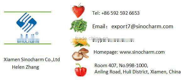 Frozen Kosher Tilapia Fillet