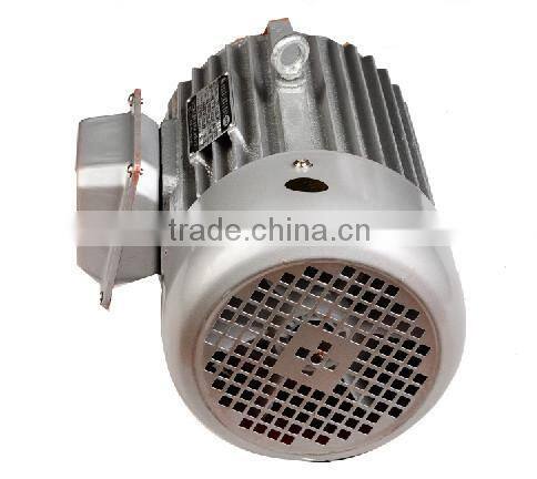 IP55 380V three phase asynchronous electric motor
