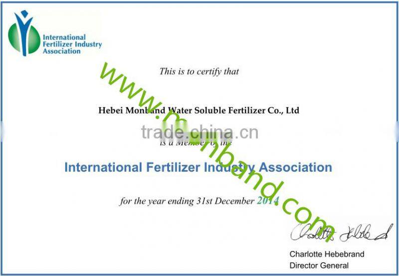 white/yellow ball granular Calcium Magnesium Nitrate 13-16-6 fertilizer