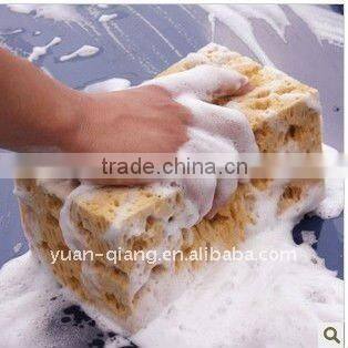 supply effective high elasticity car washing coral sponge bulk
