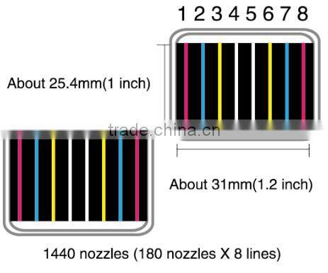 DX5 Head 1.8m Eco Solvent Inkjet Printer with Double Printheads