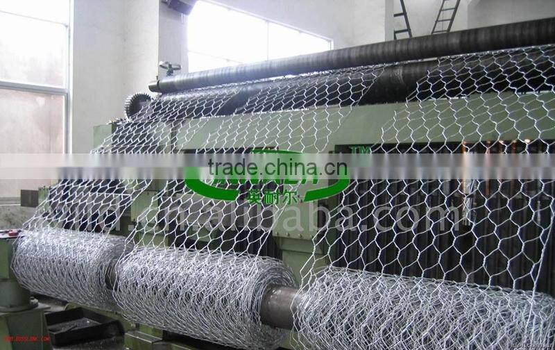 Chicken Wire Mesh for Free Range Chickens