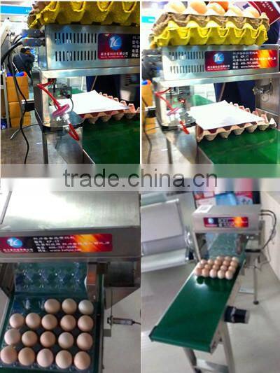 carton date code printing machine/laser marking machine for date code/date coding machine printing machine