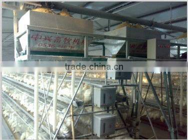 layer chicken cage for hens