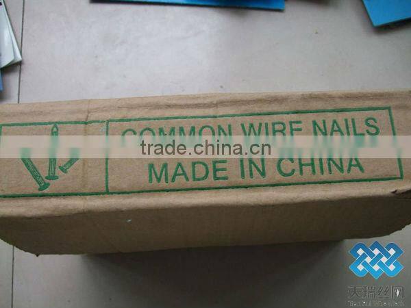 common nail/polished nail/galvanized nail