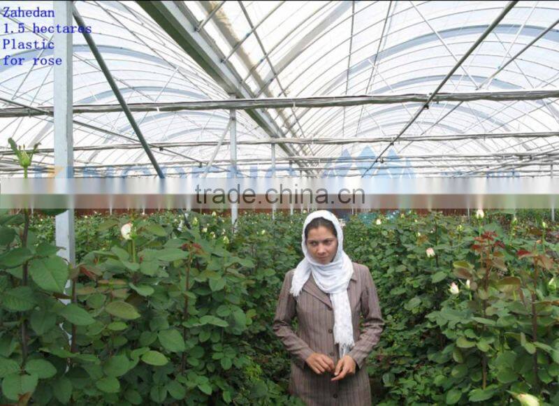 Single Layer Poly Film Greenhouse (ISO9001:2000)