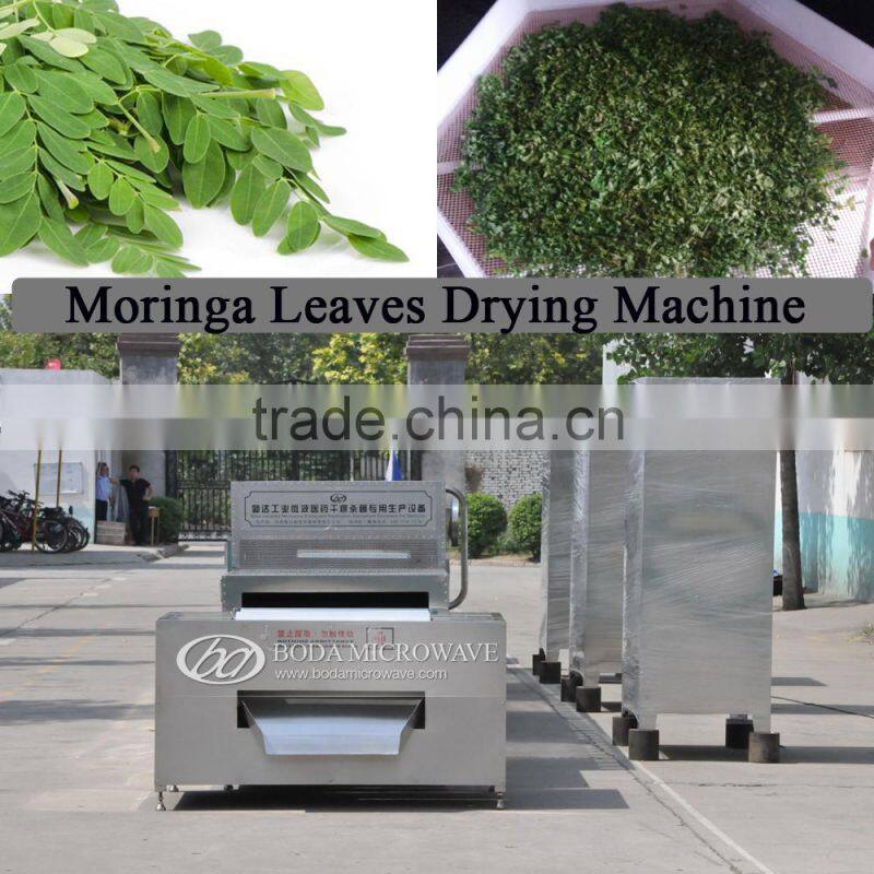 Moringa leaves drying sterilizing machine