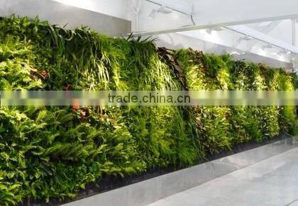 plastic garden walls,vertical green wall