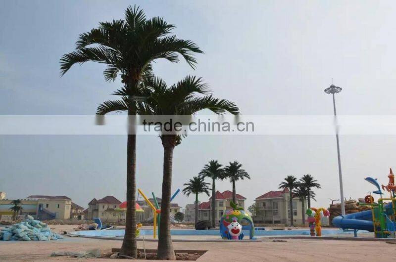 landscape tropical tree project big tree supplier