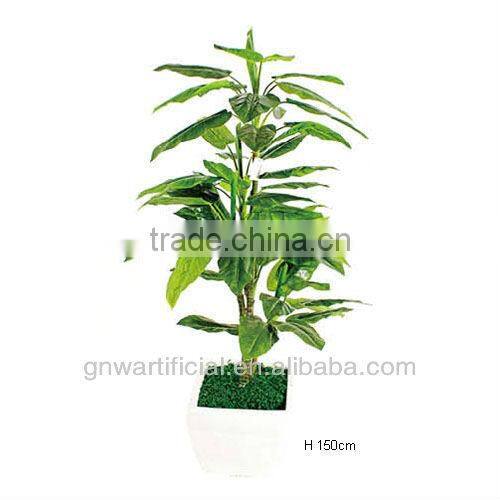 plant and tree nursery green mini plants indoor office GNW G120