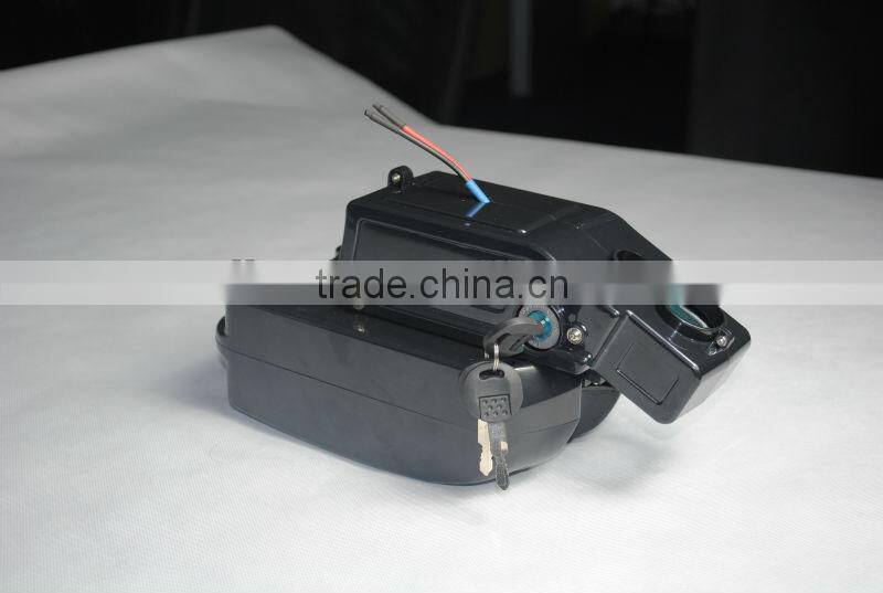 frog style ebkie battery 24V LiFePO4 battery