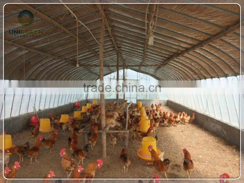 Easy assembled comericial poultry breeding greenhouse