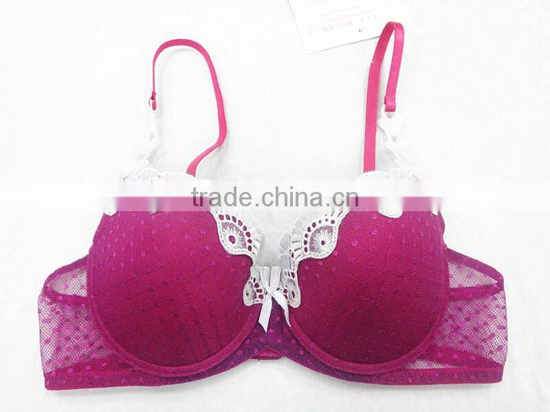 Stylish style fancy mesh sexy women sexy bra ladies underwear