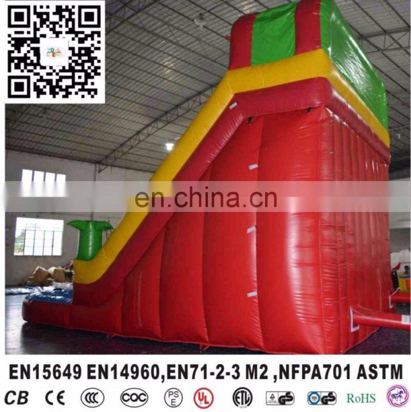 Double Slide Inflatable Water Slide,Outdoor Inflatable Water Slide ,residential inflatable water slides