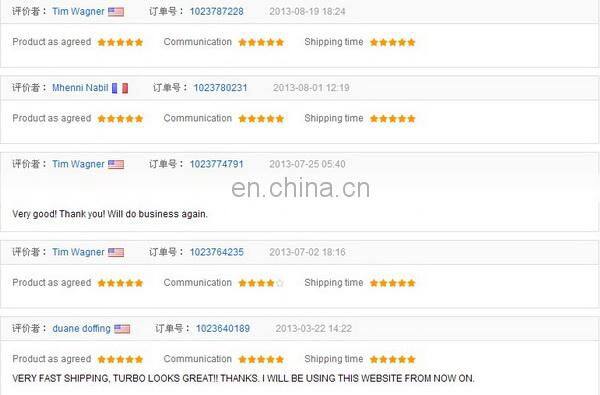 Diesel Pump Plunger/ Element 2418455346 PS/P8500 Type Barrel Assembly