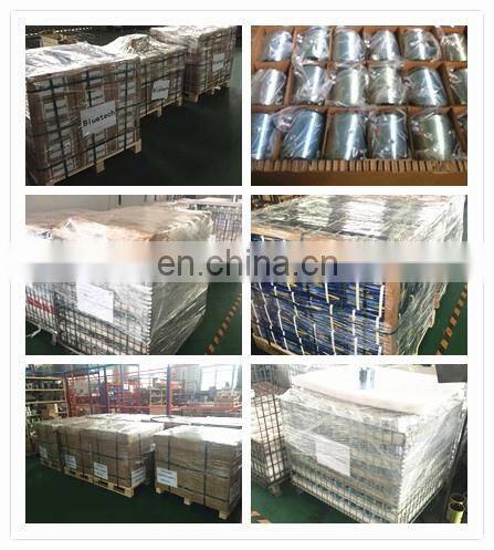 12Volt 2KW DC Motor Hydraulic with 6N.m Torque