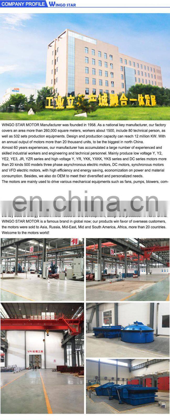 adjustable-speed motor 80kw