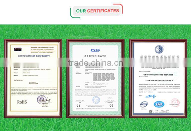 Electric Bicycle Charger