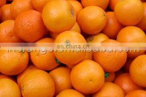 2014 High Quality Easy Operation Apple grading Machine